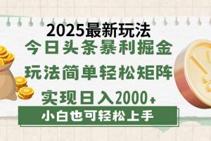 今日头条2025最新玩法，思路简单，复制粘贴，轻松实现矩阵日入2000+
