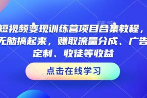 AI短视频变现训练营项目合集教程，直接无脑搞起来，赚取流量分成、广告、定制、收徒等收益(0302更新)