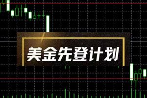 美金先登计划(2025黑马项目